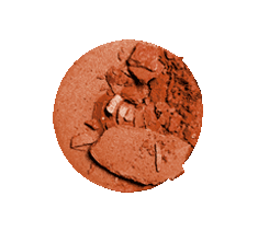 Colorete BLUSH POWDER Noche & Día EVOLUX - 2