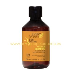 Champu regenerador After Sun para despues del sol, cloro o agua salada Sun Haircare EVERYGREEN